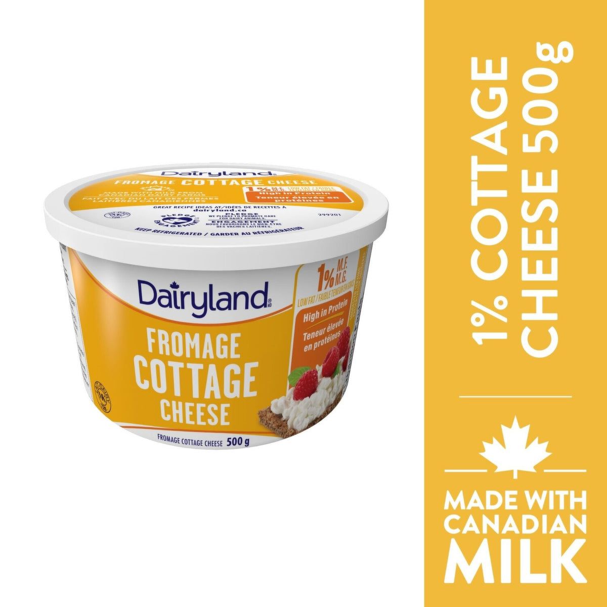 Dairyland Light Cottage Cheese