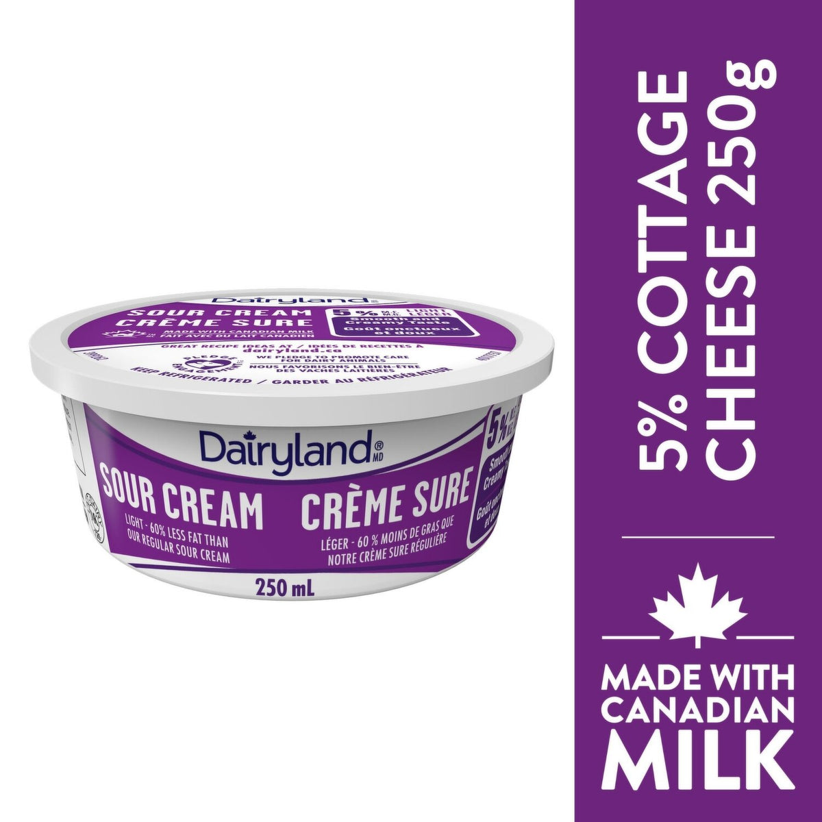 Dairyland Light Sour Cream 5% 250 mL